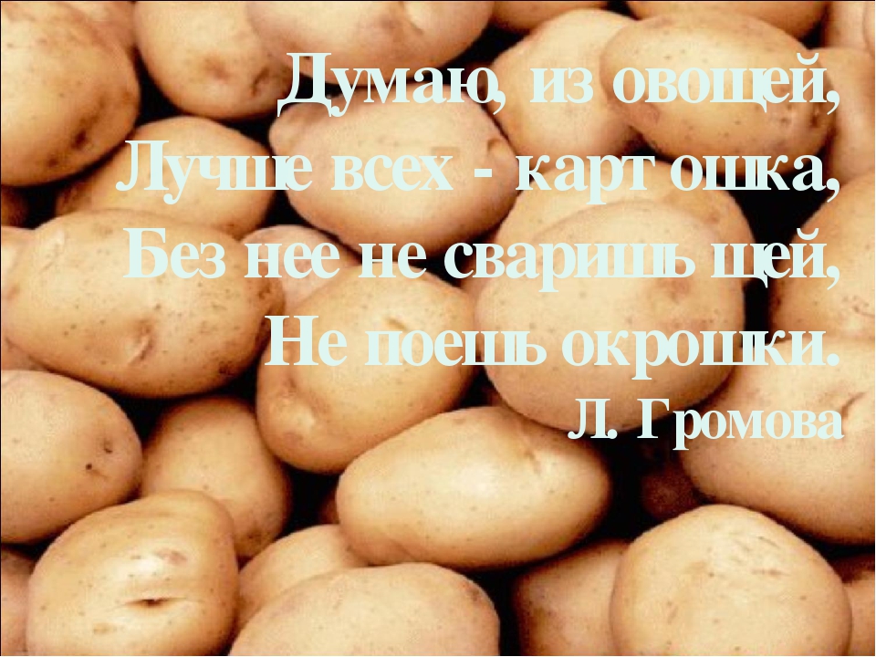 Презентация по ознакомлению с окружающим миром «Ах, картошечка, картошка!» в старшей группе