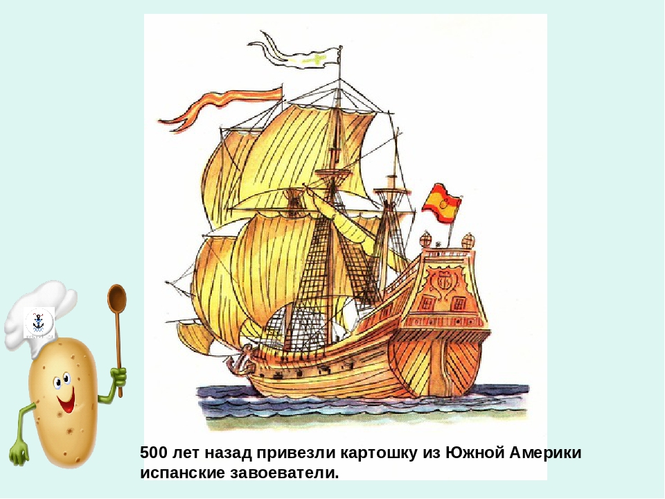 Презентация по ознакомлению с окружающим миром «Ах, картошечка, картошка!» в старшей группе
