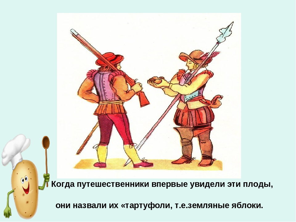 Презентация по ознакомлению с окружающим миром «Ах, картошечка, картошка!» в старшей группе