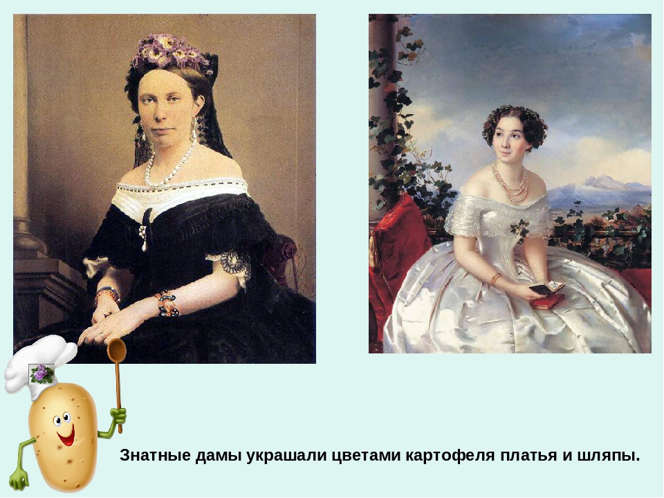 Презентация по ознакомлению с окружающим миром «Ах, картошечка, картошка!» в старшей группе