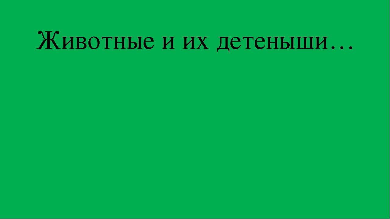 Презентация "Животные и их детеныши"