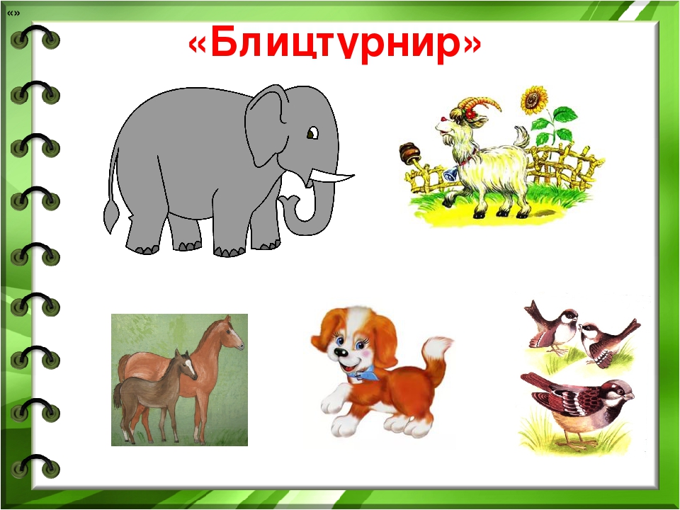 Презентация к математическому КВН с ДЮЦ .