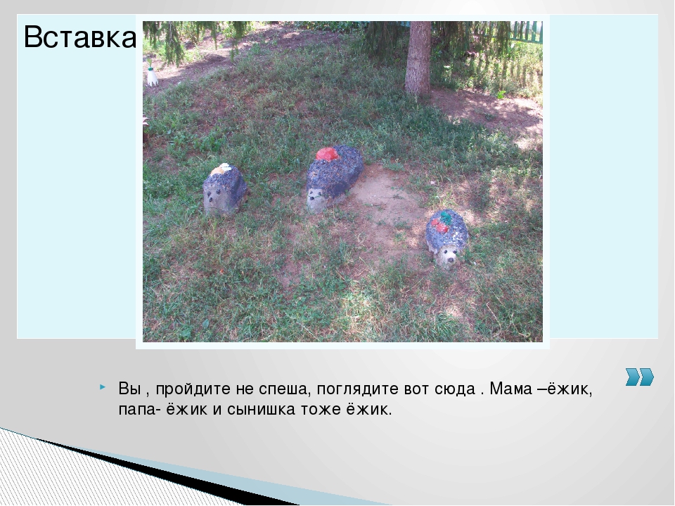 Презентация "На участок к нам придёте, сразу в сказку попадёте"
