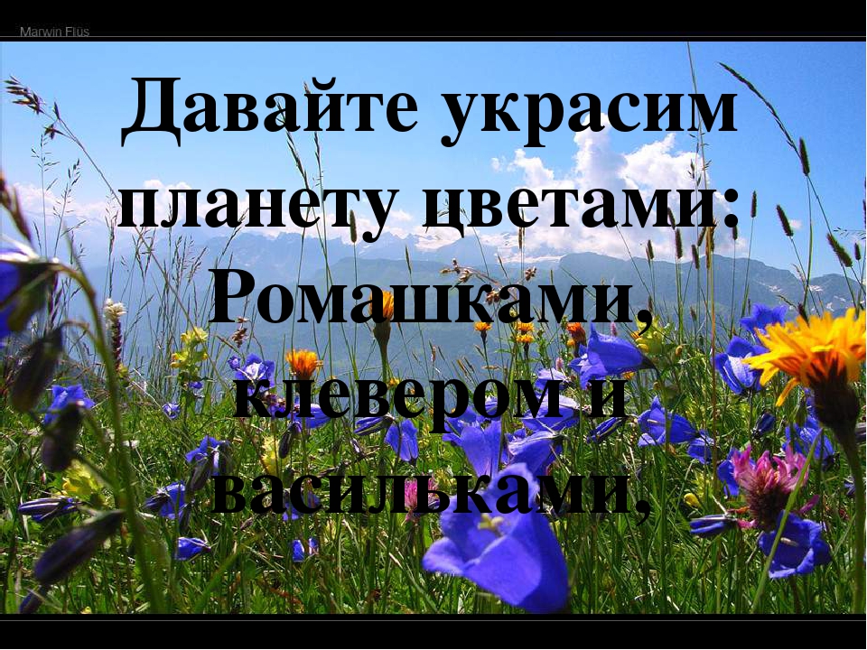 ПРЕЗЕНТАЦИЯ" ЦВЕТАМ ПОМОЖЕМ РАСТИ И ЗЕМЛЯ НАША БУДЕТ ЦВЕСТИ"