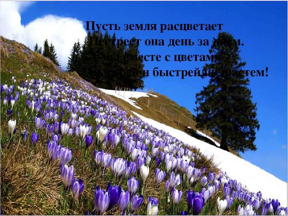 ПРЕЗЕНТАЦИЯ" ЦВЕТАМ ПОМОЖЕМ РАСТИ И ЗЕМЛЯ НАША БУДЕТ ЦВЕСТИ"
