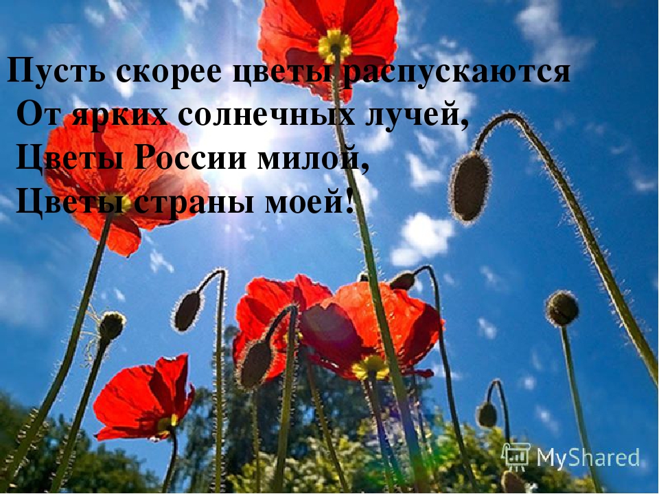 ПРЕЗЕНТАЦИЯ" ЦВЕТАМ ПОМОЖЕМ РАСТИ И ЗЕМЛЯ НАША БУДЕТ ЦВЕСТИ"
