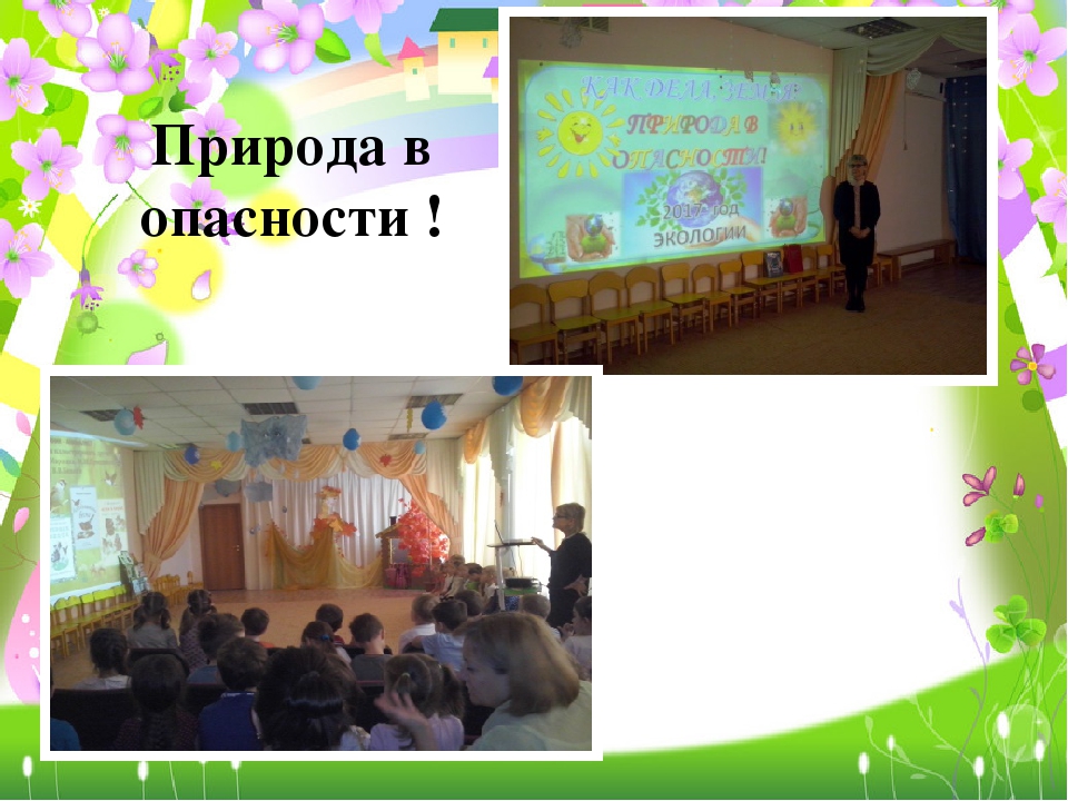 Проект по экологическому воспитанию дошкольников "Зелёный мир в моих ладошках"