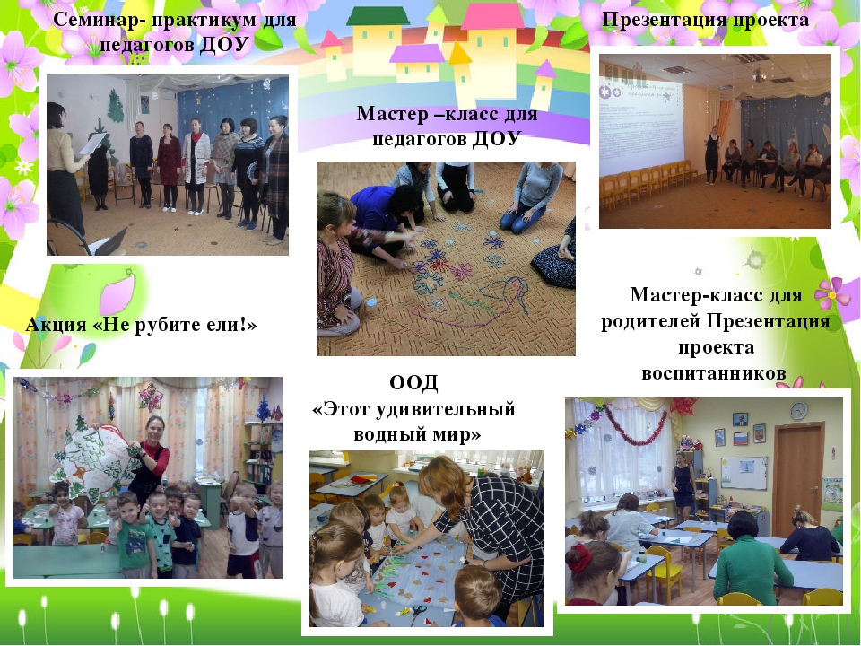 Проект по экологическому воспитанию дошкольников "Зелёный мир в моих ладошках"