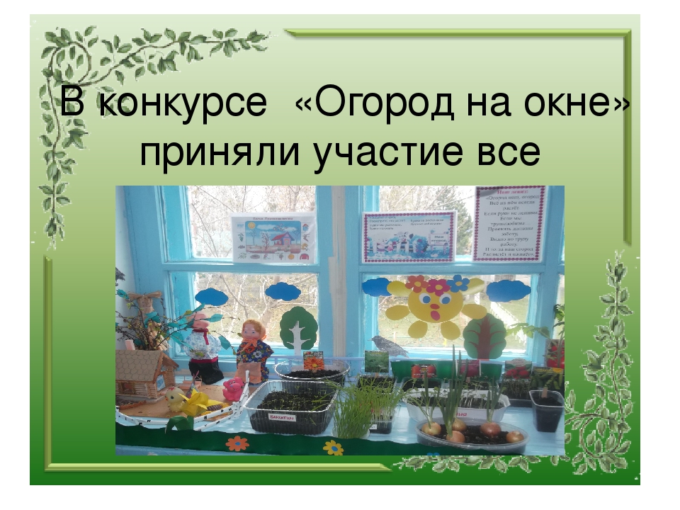 Презентация "Огород на окне"