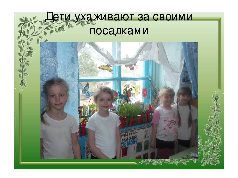 Презентация "Огород на окне"