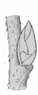 Рисунок 20
