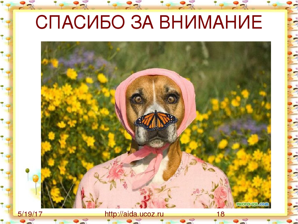 Презентация по адаптации детей в ДОУ