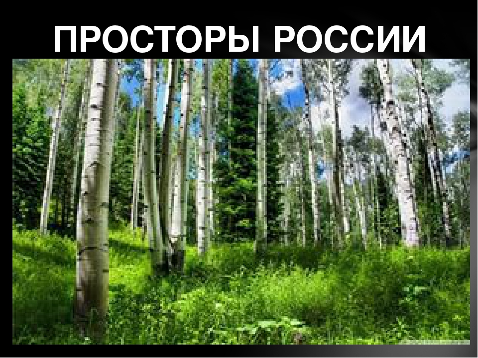 Презентация для открытого мероприятия о Родине и малой Родине " День народного единства"