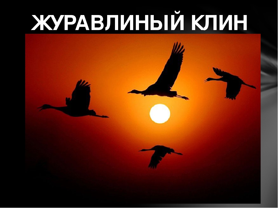 Презентация для открытого мероприятия о Родине и малой Родине " День народного единства"