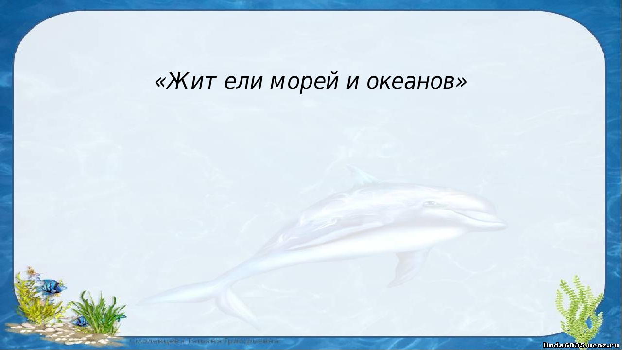 Презентация к занятию по окружающему миру "Обитатели морского дна"