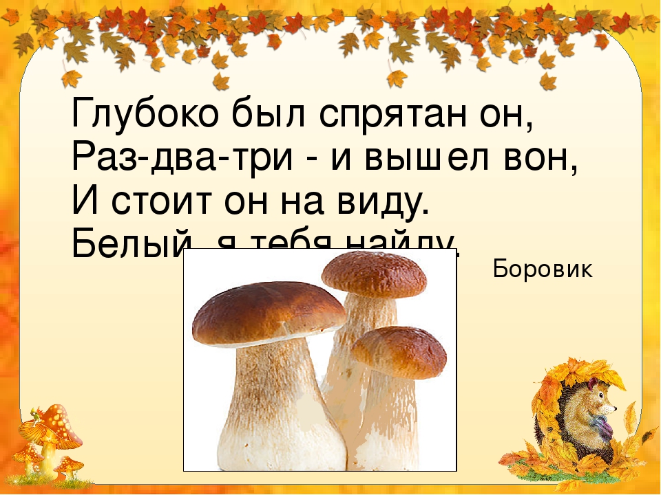 Презентация к занятию по окружающему миру "Грибное лукошко"