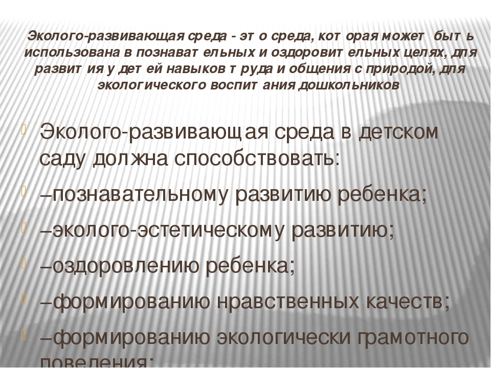 Эколого-развивающая среда в МДОУ
