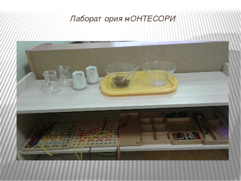 Эколого-развивающая среда в МДОУ