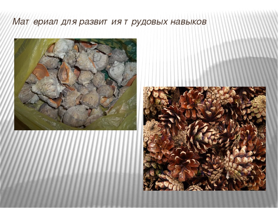Эколого-развивающая среда в МДОУ