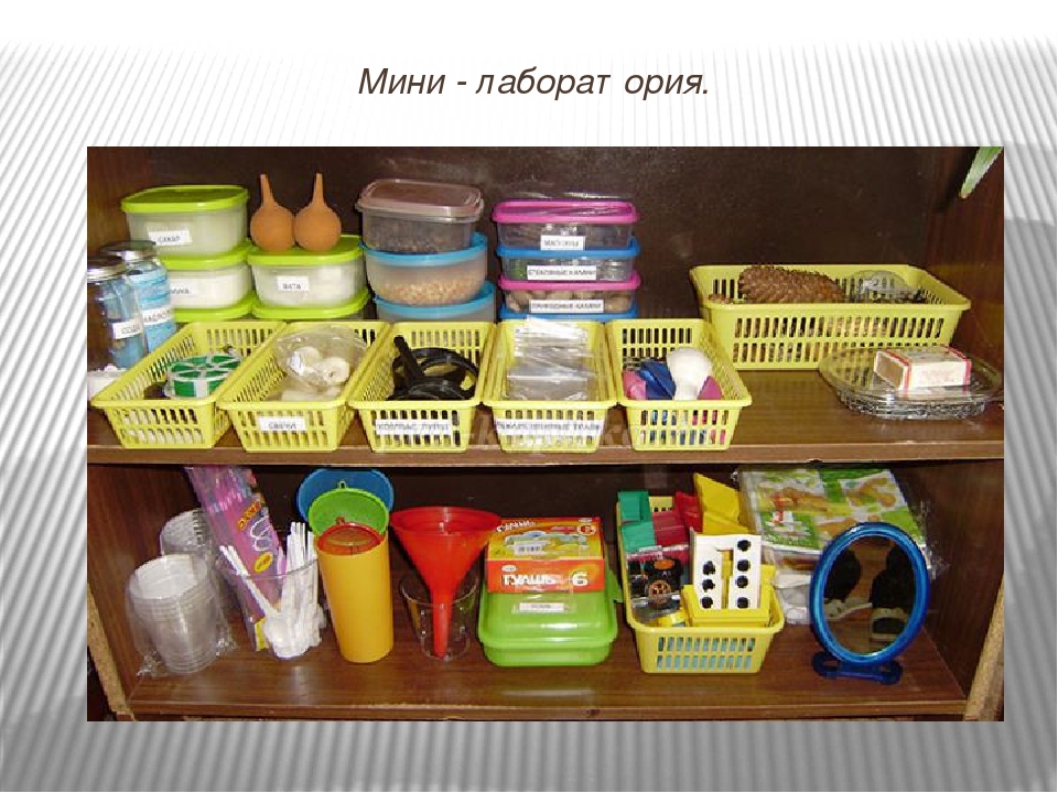 Эколого-развивающая среда в МДОУ
