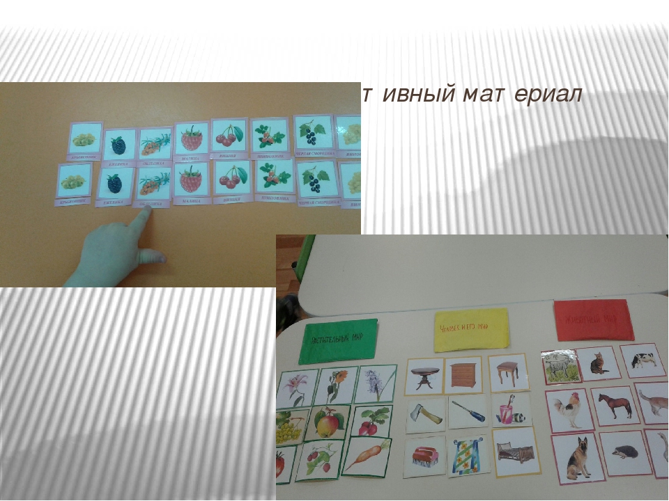Эколого-развивающая среда в МДОУ