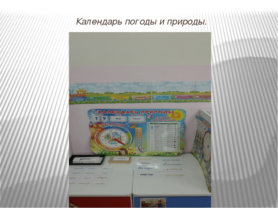 Эколого-развивающая среда в МДОУ