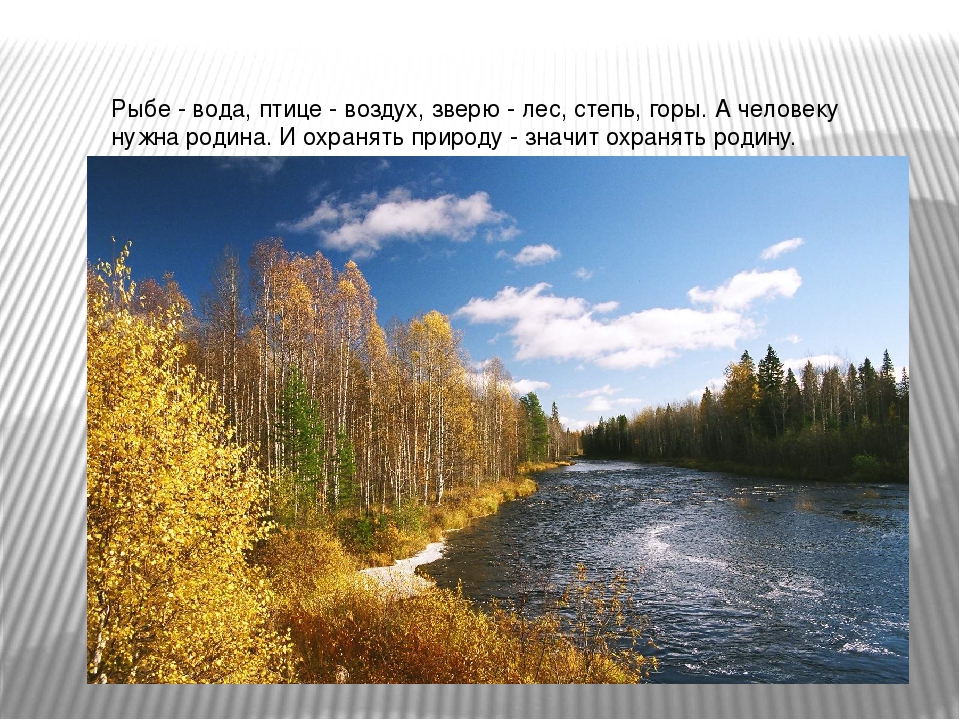 Эколого-развивающая среда в МДОУ