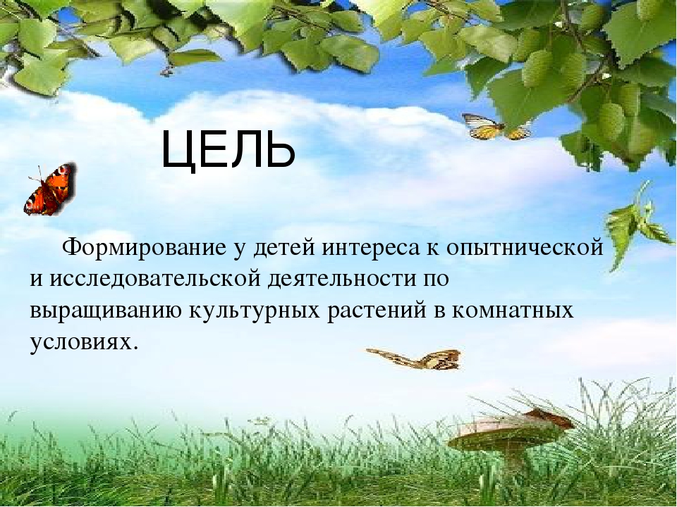 Презентация по экологическому развитию на тему "Огород на окошке"