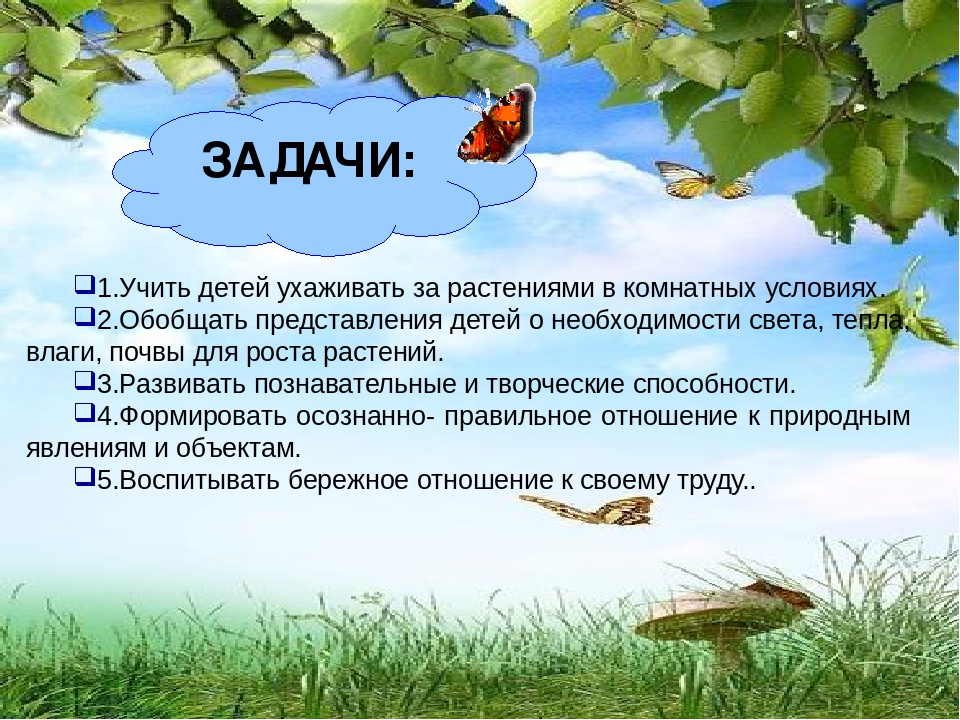 Презентация по экологическому развитию на тему "Огород на окошке"