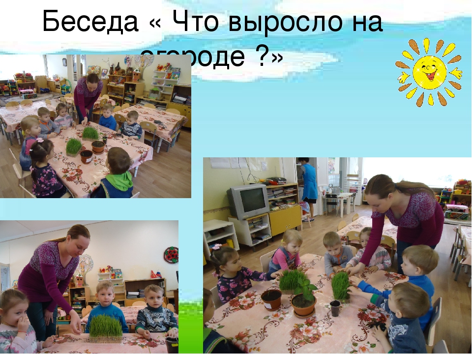 Презентация по экологическому развитию на тему "Огород на окошке"