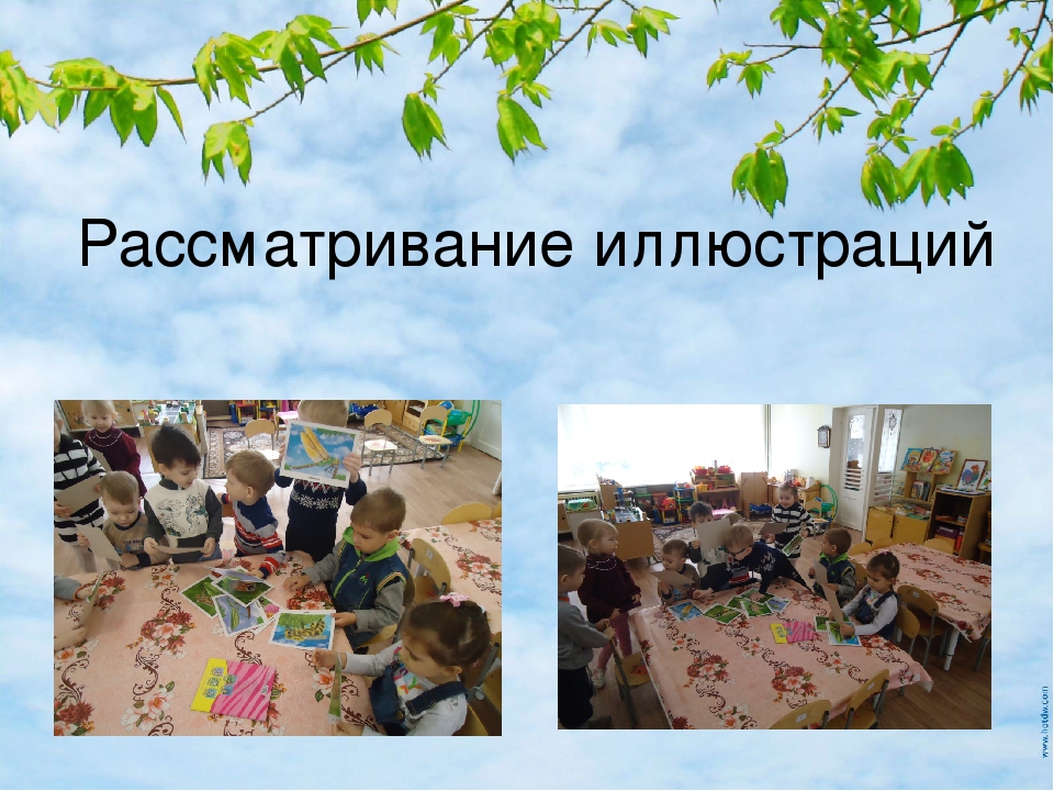 Презентация по экологическому развитию на тему "Огород на окошке"