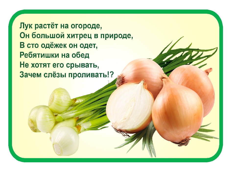 Презентация по экологическому развитию на тему "Огород на окошке"