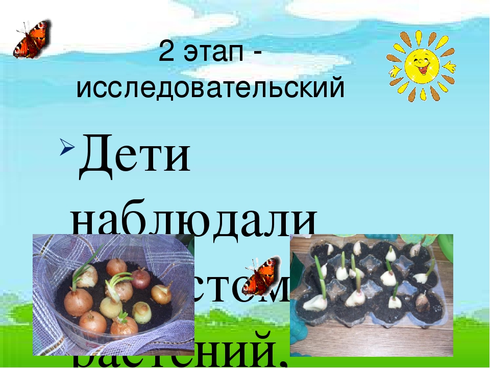 Презентация по экологическому развитию на тему "Огород на окошке"
