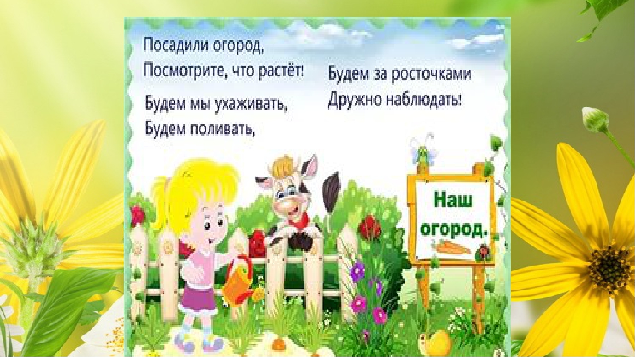Огород на окне. Старшая разновозрастная группа.