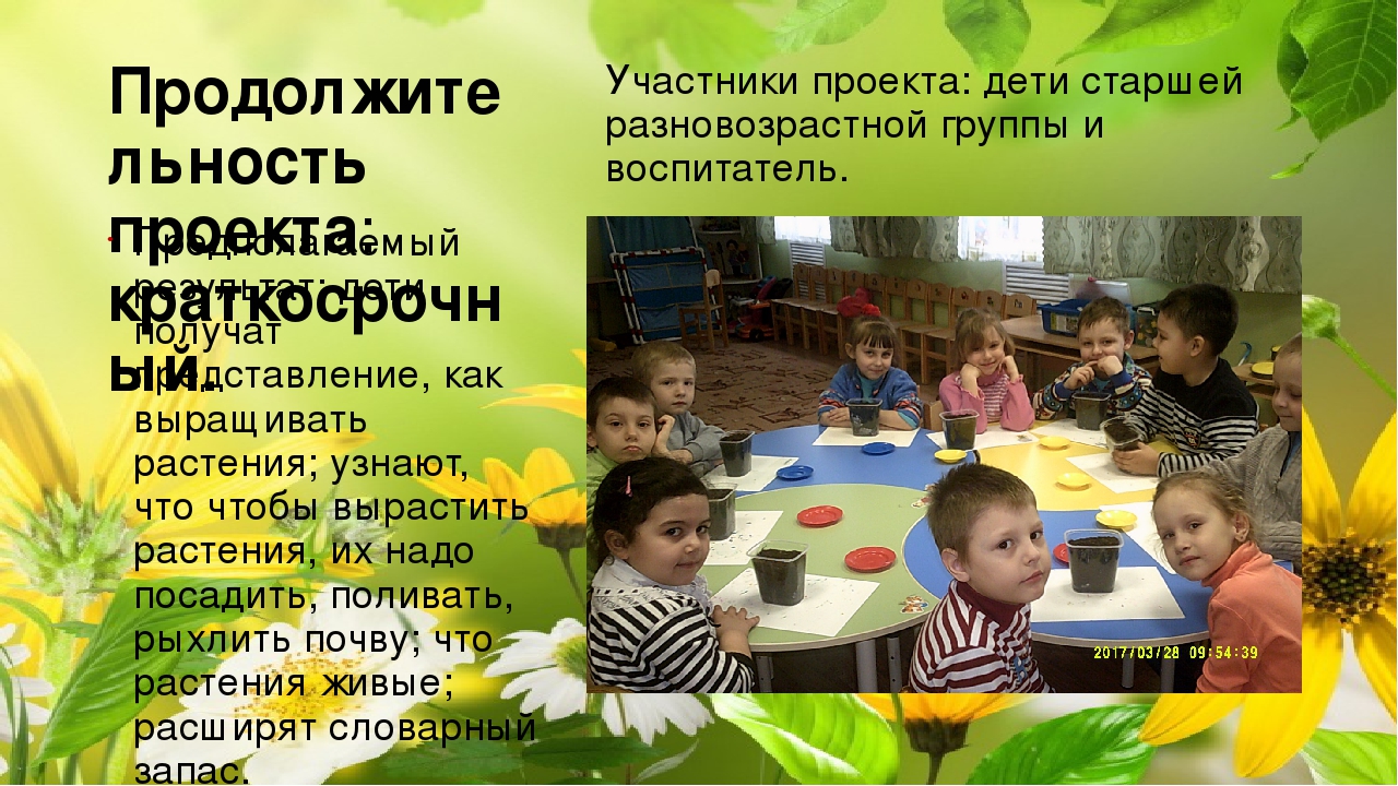 Огород на окне. Старшая разновозрастная группа.