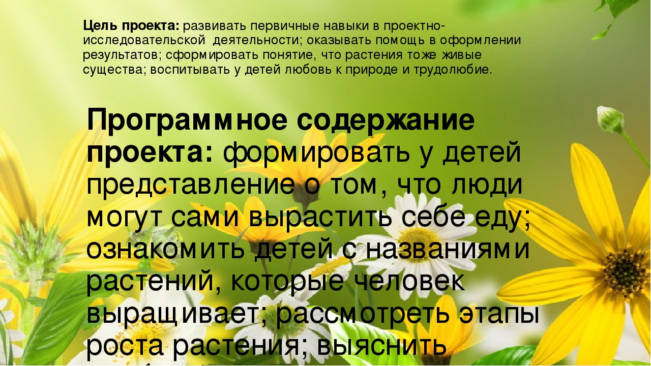 Огород на окне. Старшая разновозрастная группа.