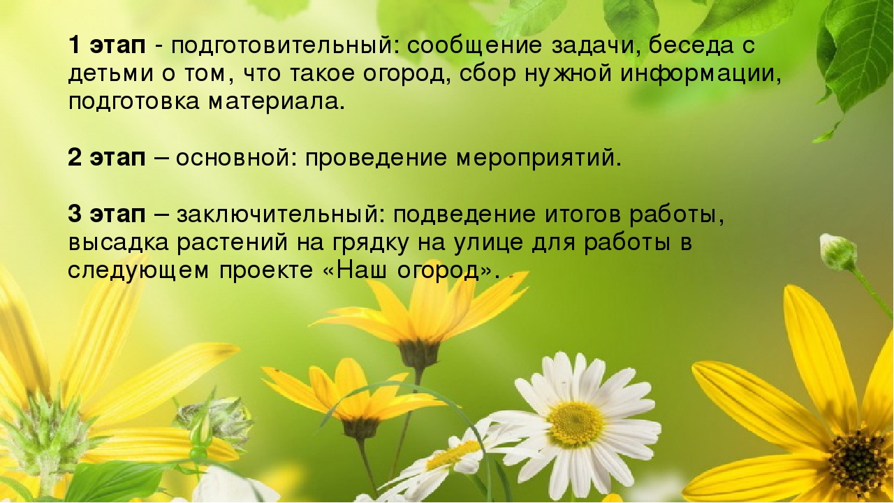 Огород на окне. Старшая разновозрастная группа.