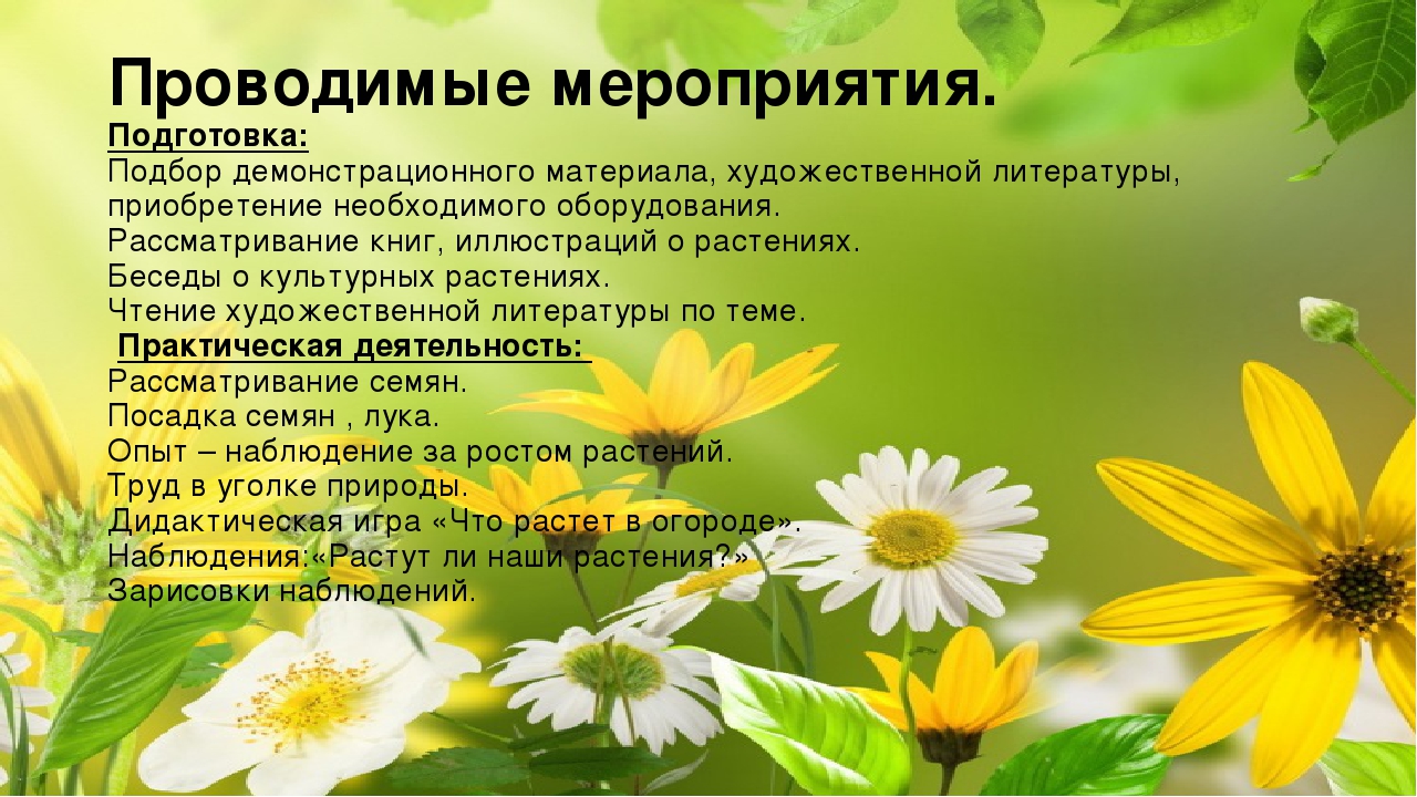 Огород на окне. Старшая разновозрастная группа.
