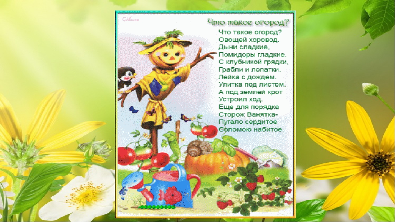 Огород на окне. Старшая разновозрастная группа.