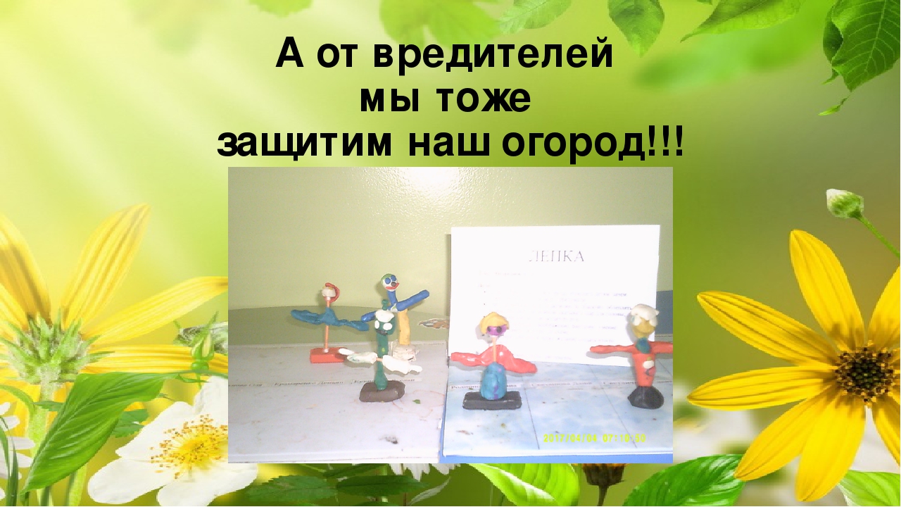 Огород на окне. Старшая разновозрастная группа.