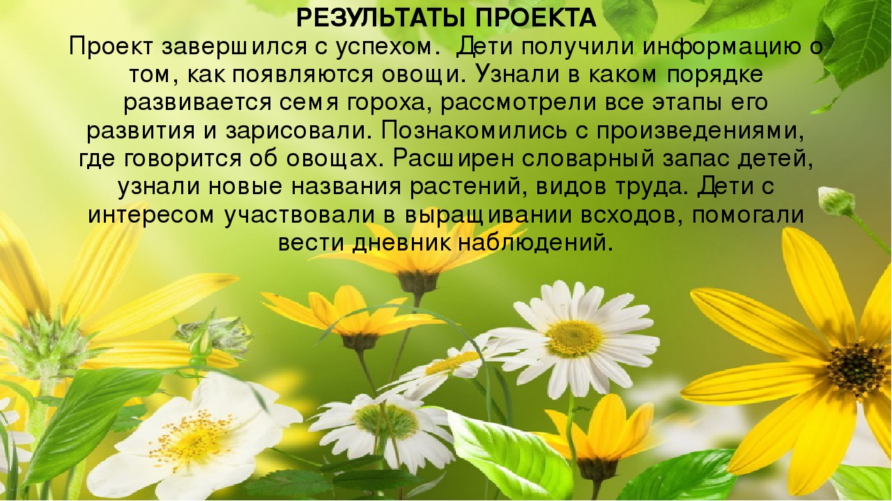Огород на окне. Старшая разновозрастная группа.