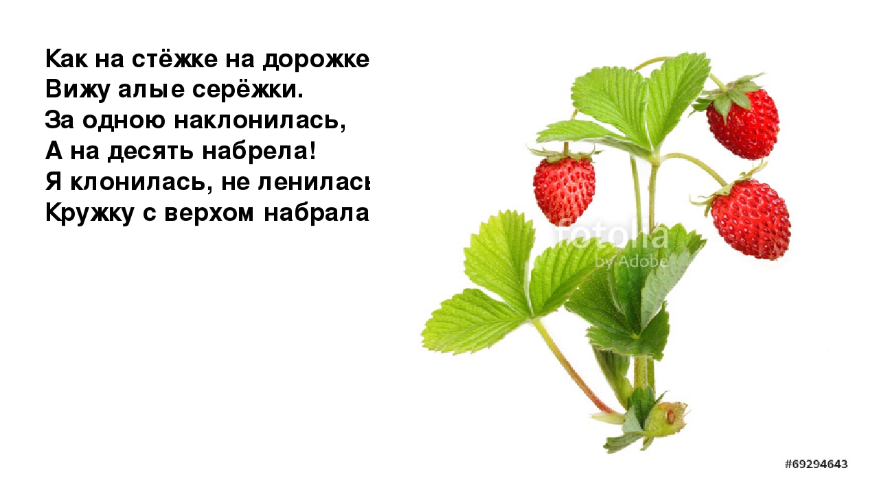 Презентация "Загадки. Всё что мы едим"