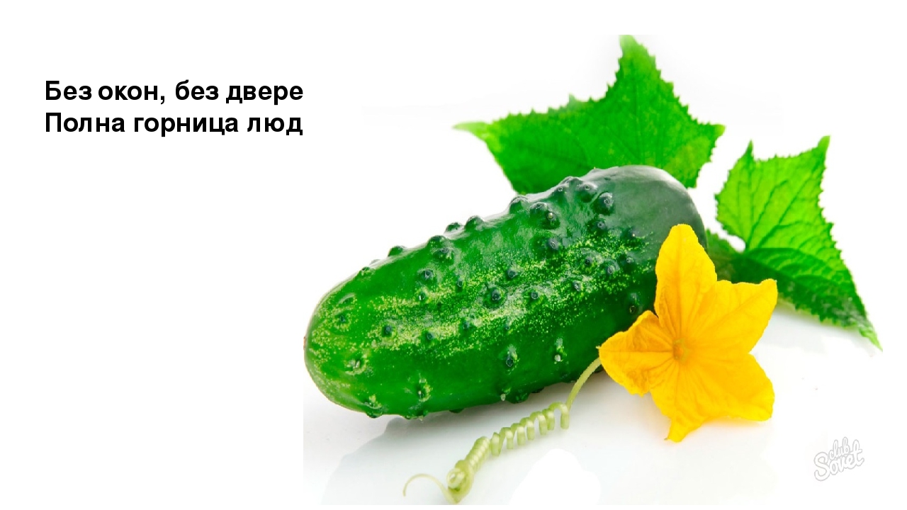Презентация "Загадки. Всё что мы едим"