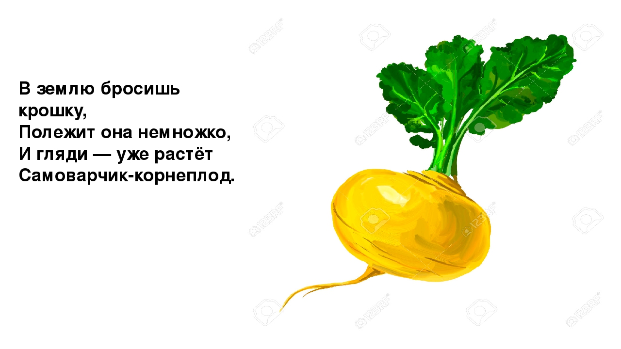 Презентация "Загадки. Всё что мы едим"