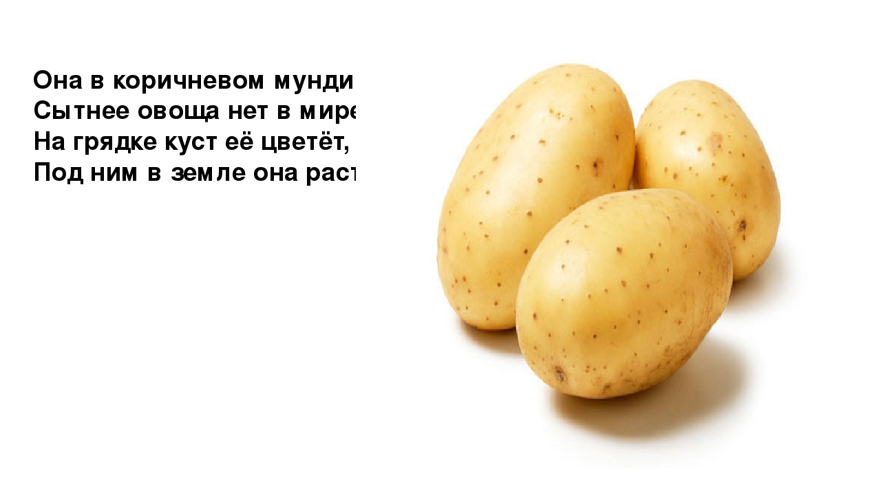 Презентация "Загадки. Всё что мы едим"