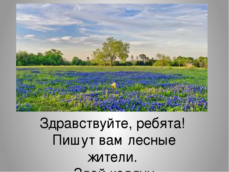 Познание. дать представление детям среднего возраста о понятии высоко, широко, большой и маленький