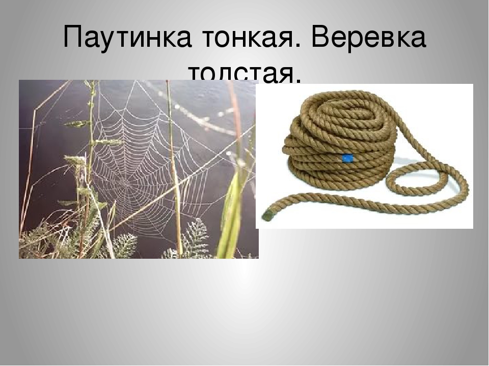 Познание. дать представление детям среднего возраста о понятии высоко, широко, большой и маленький