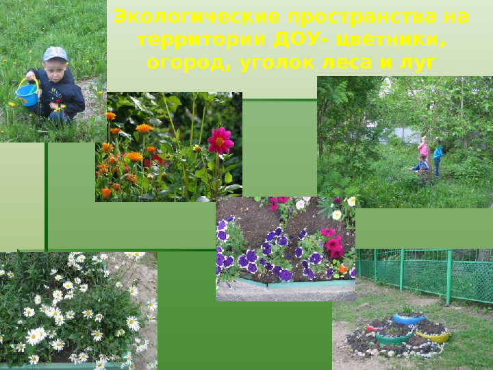 Методика экологического воспитания детей в детском саду