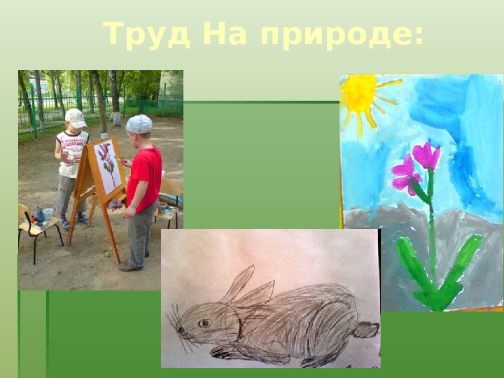 Методика экологического воспитания детей в детском саду