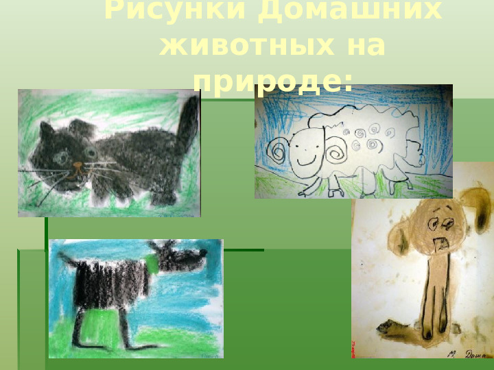 Методика экологического воспитания детей в детском саду